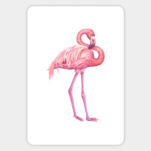 Flamingo Magnet